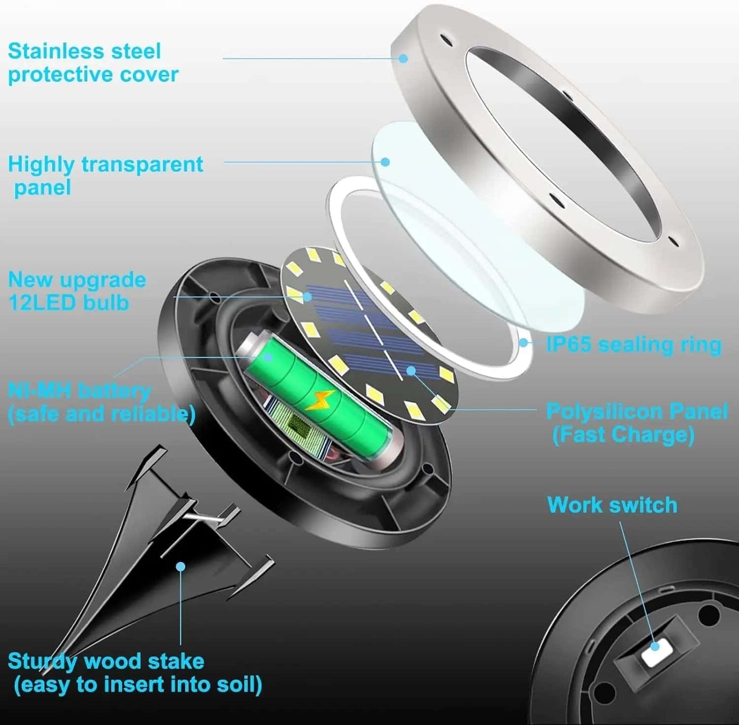 LED Solar Ground Pathway Lights with Auto-Sensing - SolarLightHome