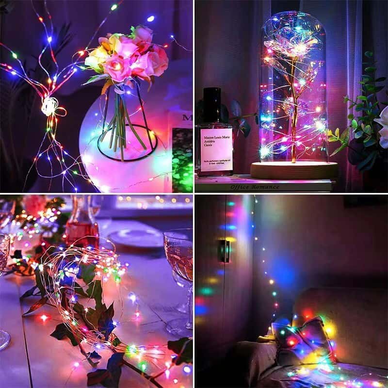 Outdoor LED Solar Garden Lights & Landscape Lighting - SolarLightHome